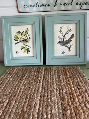 Pair 8x10 framed bird art Farmhouse rustic green frames 2 single bird prints
EUC